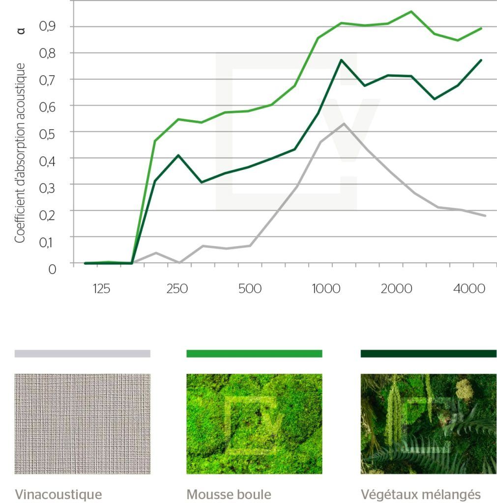 Isolation Phonique Comparatif Absorption Acoustique Son