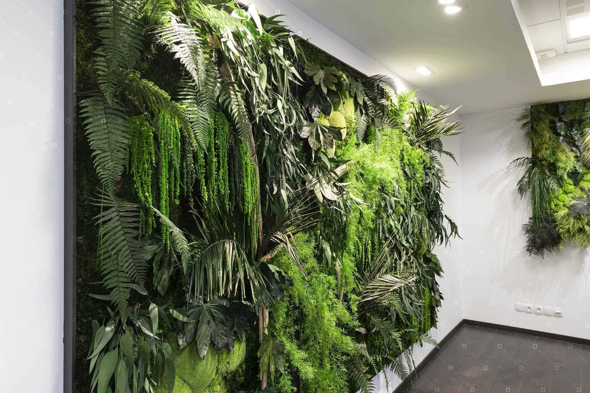 Paysagiste mur végétal intérieur à Paris