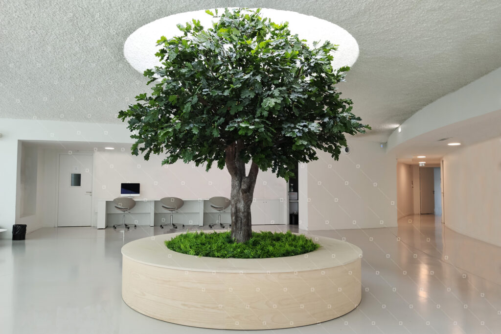 L'arbre intérieur pour améliorer le bien-être au travail ? - Cadre Vert