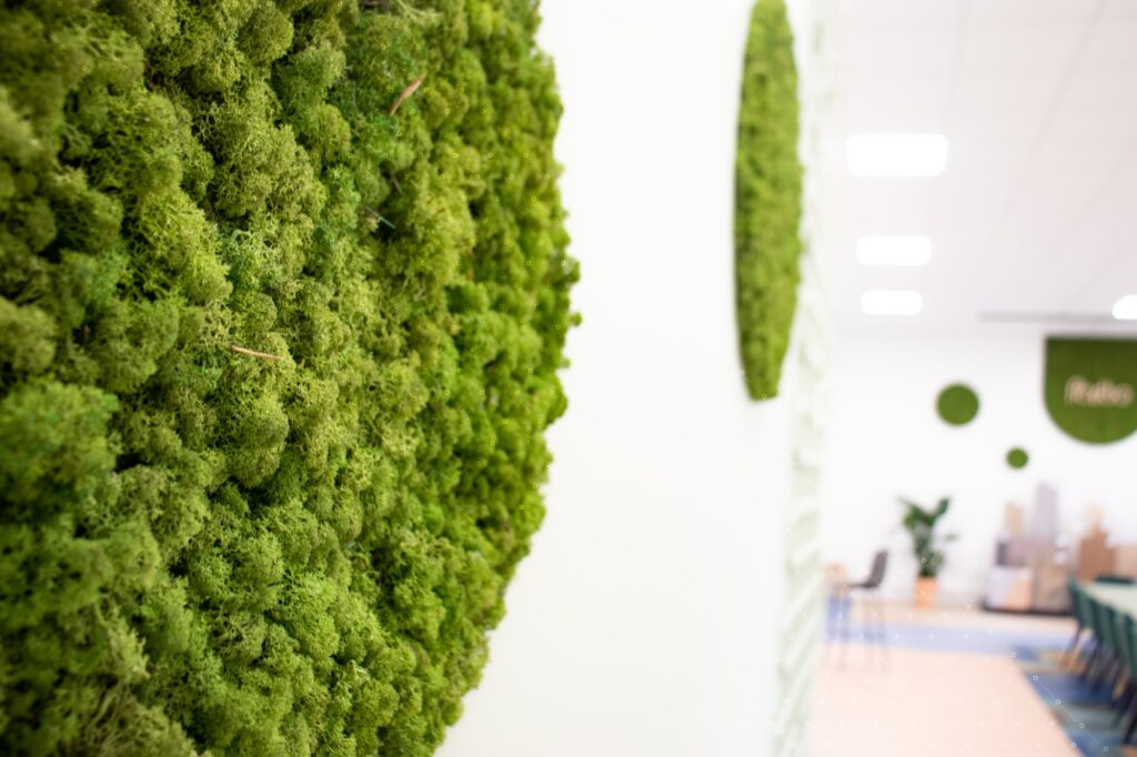 showroom-vegetal-cadre-lichen-paris-reims-strasbourg