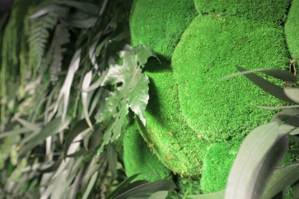 mur-vegetal-collection-jungle-cadre-vert-reims-paris-hotel-ecologique
