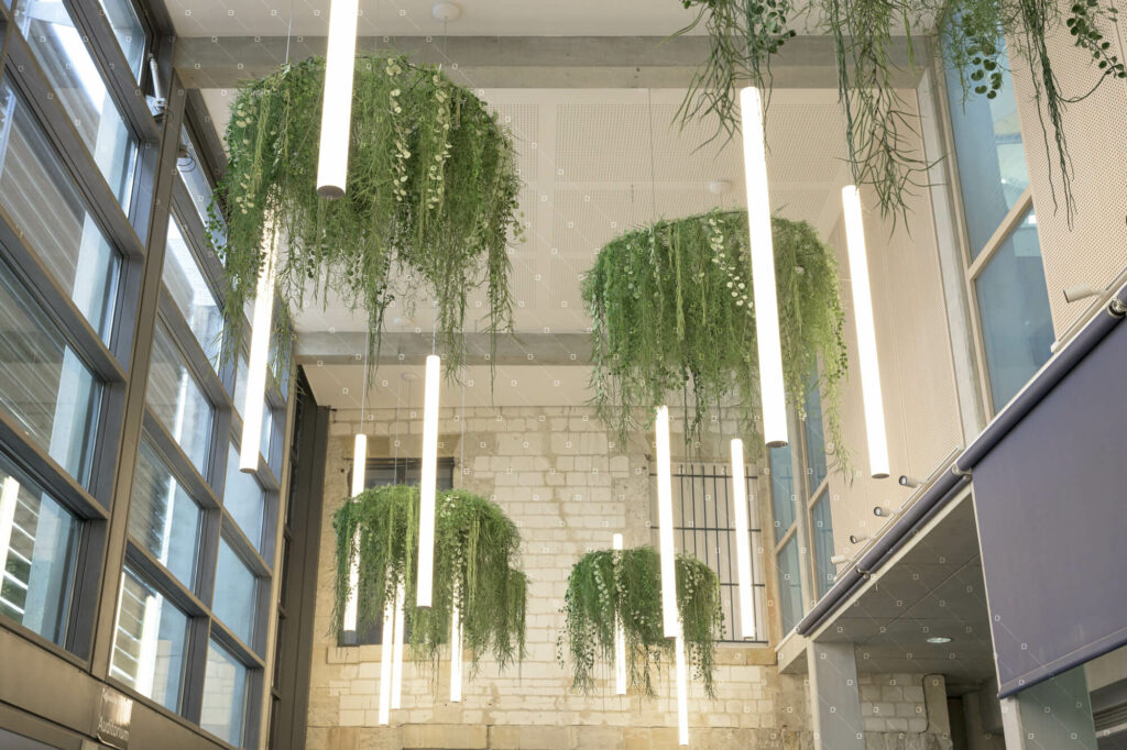 plafond-vegetal-faux-plafond-vegetal-suspension-vegetale-mediatheque-chalons-en-champagne