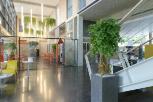 arbre-olivier-cadre-vert-mediatheque-chalons-rse-reims-paris