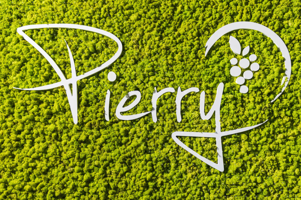 mur-vegetal-interieur-stabilise-mur-lichen-logo-vegetal-cadre-vert-leclerc-pierry